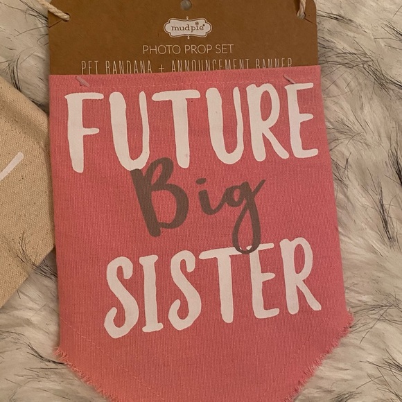 HOST PICK❤️❤️ MP Pet Bandana and Ann. Banner:2 NWT - Picture 2 of 4